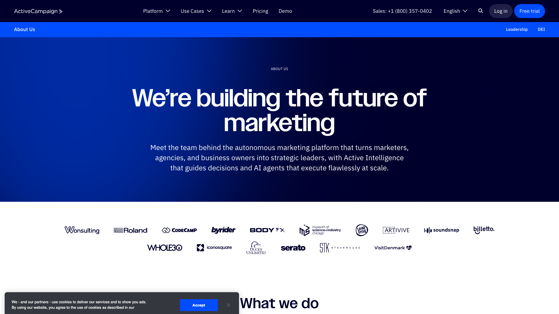 ActiveCampaign corporate brand positioning with blue palette and professional imagery