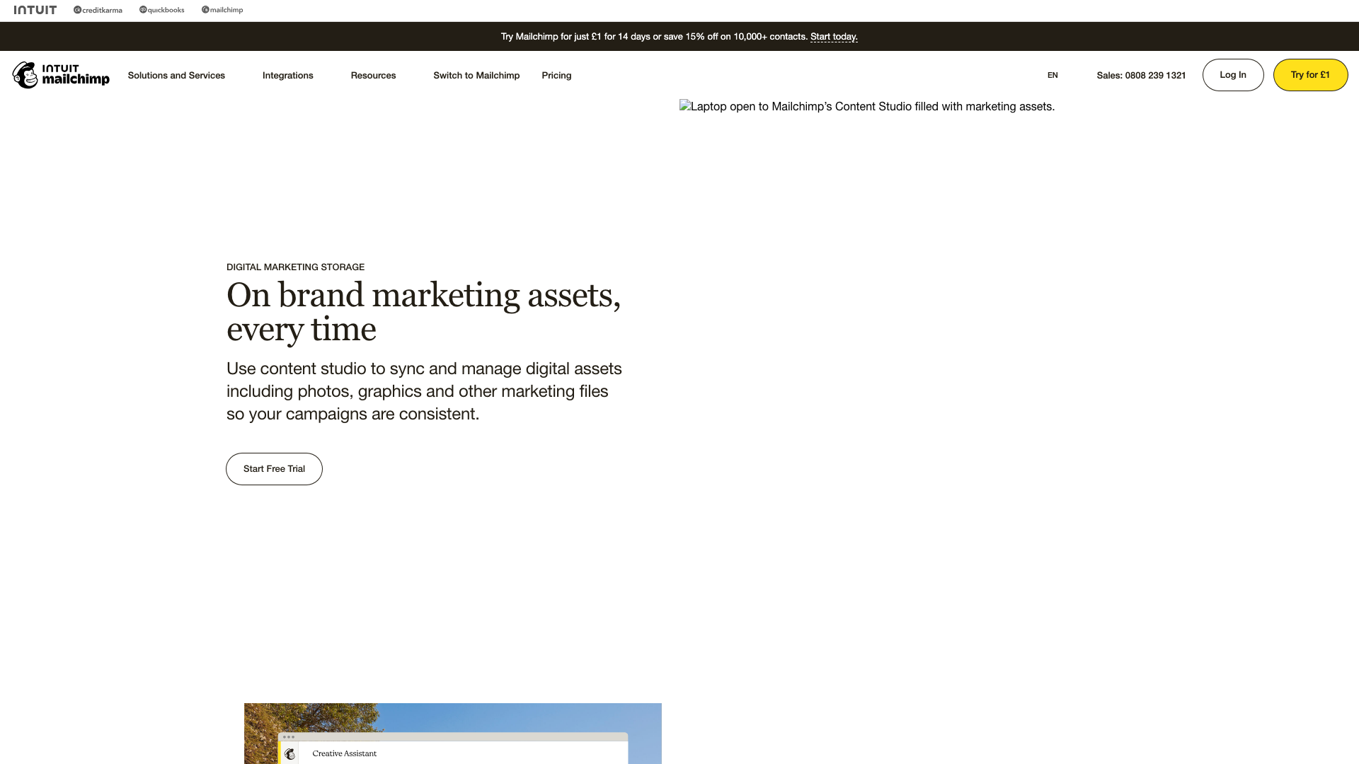Mailchimp content studio with creative tools